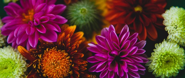 自己的球队 自己的球队