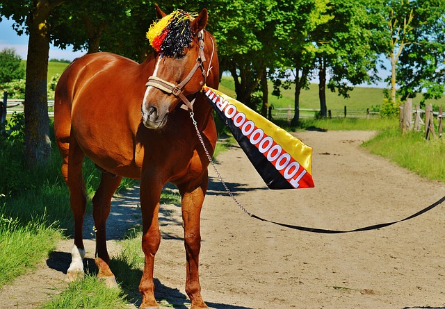 外界质疑 外界质疑