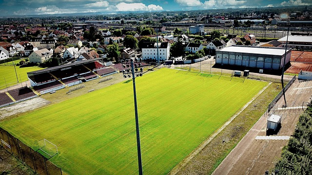 局势如何变 局势如何变