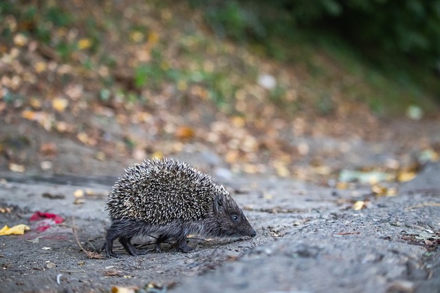 员之间的激 员之间的激