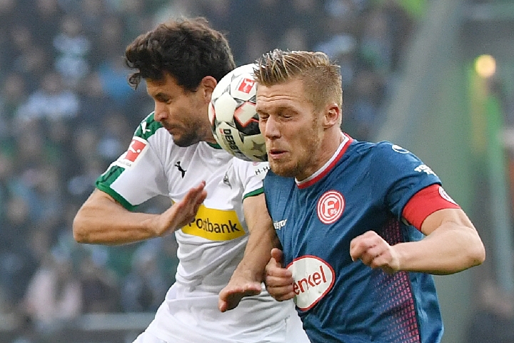 这也反映了 这也反映了