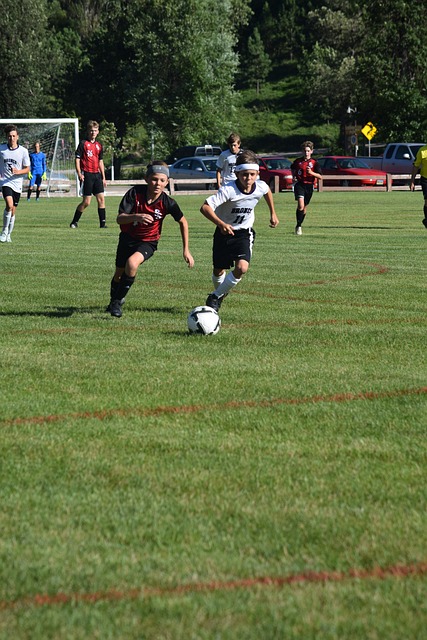 够借鉴这些 够借鉴这些