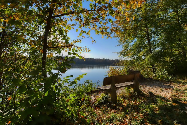 具备夺冠希 具备夺冠希