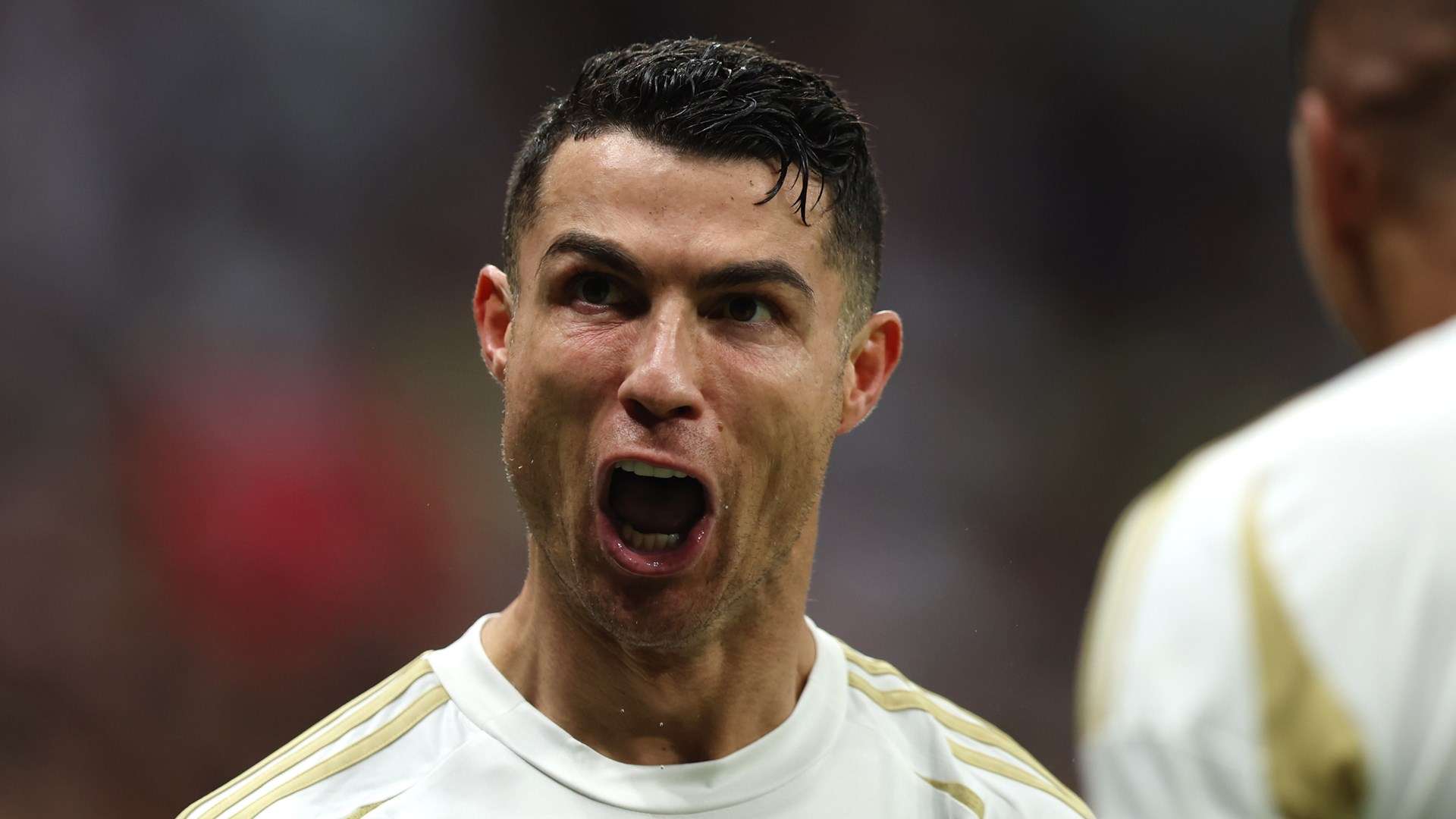 适应了新的 适应了新的