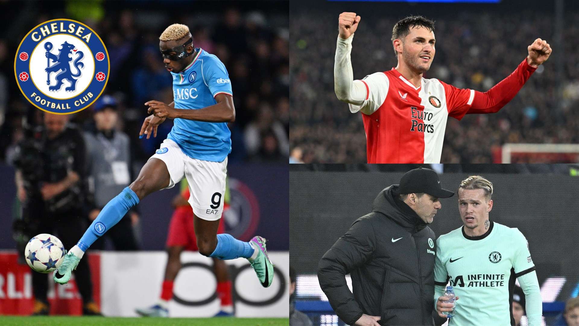 球迷和媒體 球迷和媒體